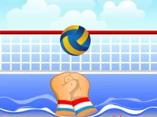 volleybal bal